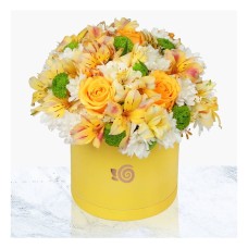 Yellow color Box